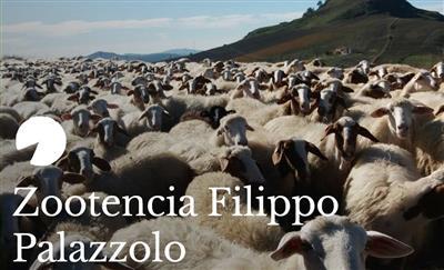 Zootencia Filippo Palazzolo